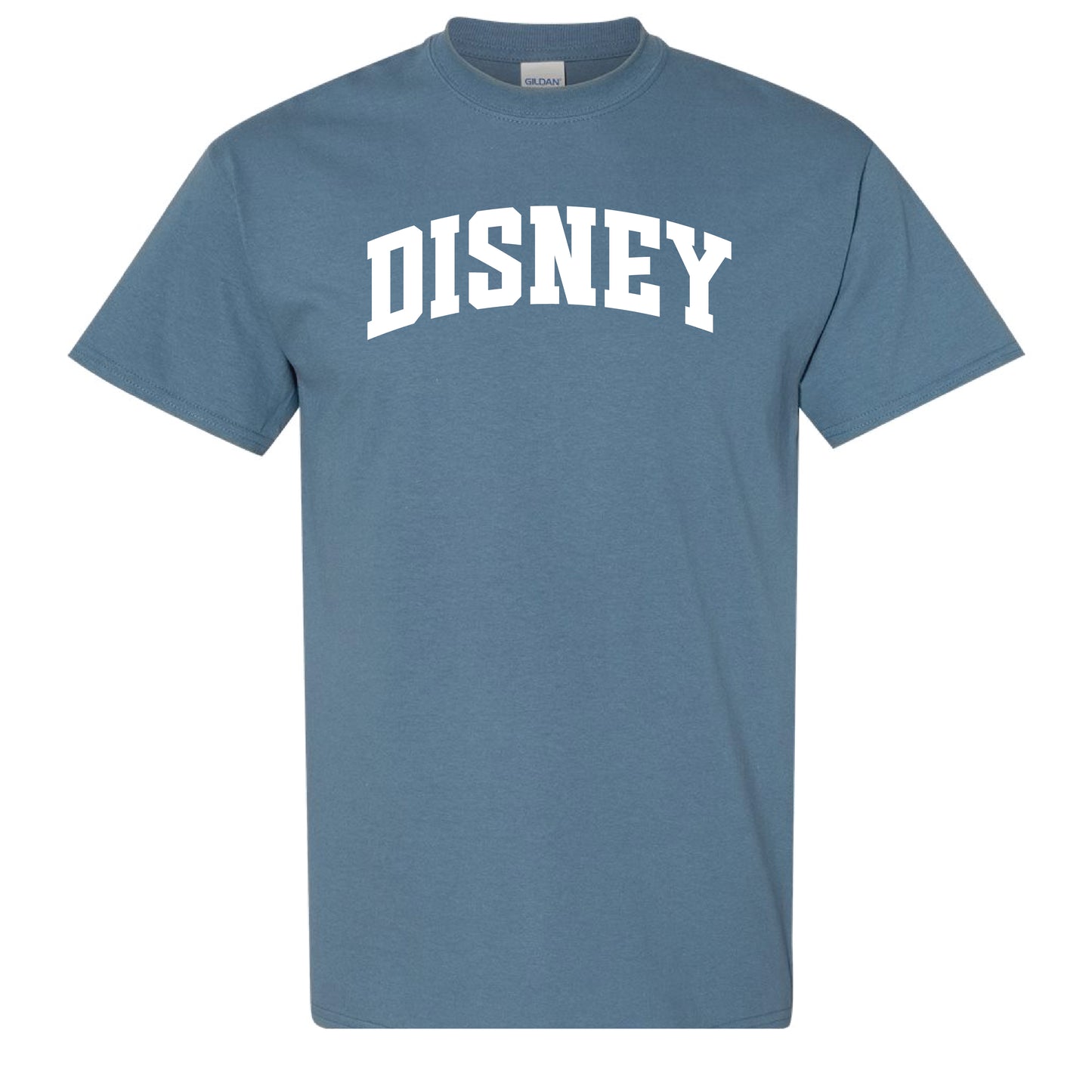 ADULT Disney Collegiate Tee - Sizes up to 5X!