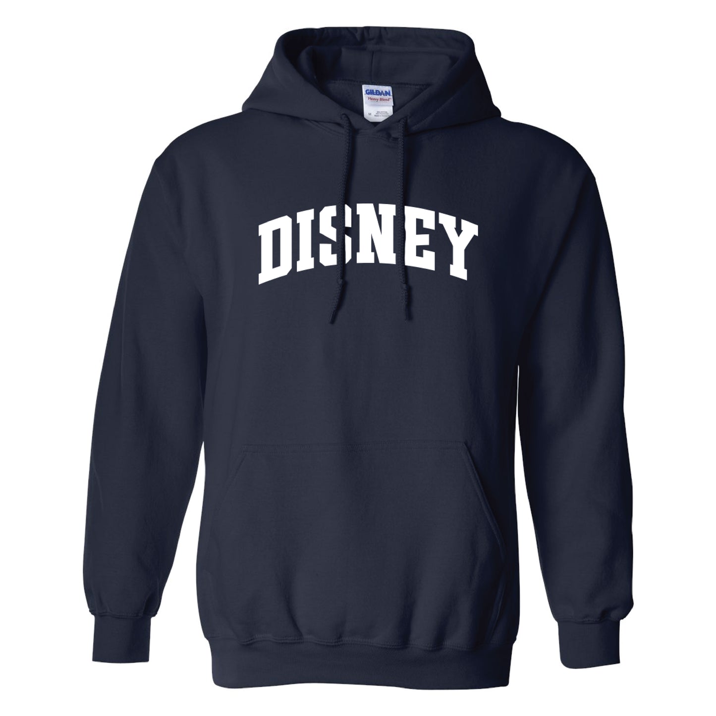 ADULT Disney Collegiate Hoodie Sweatshirt - Sizes up to 5X!